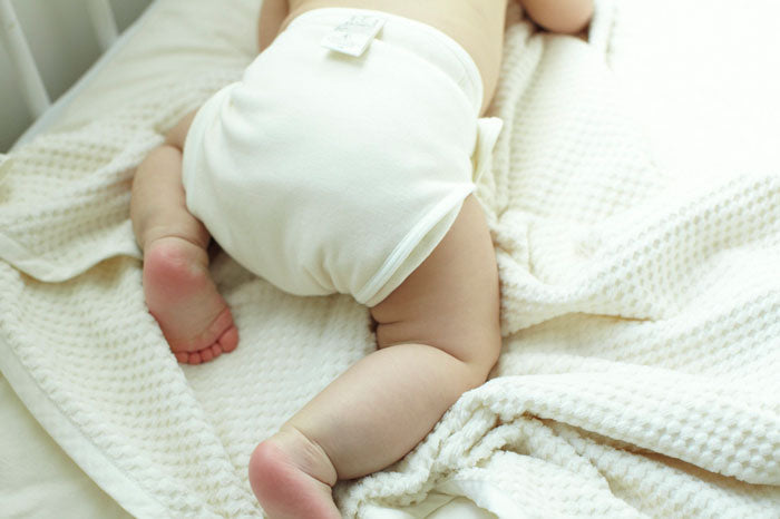 PRISTIN　プリスティン　布おむつ 布ナプキン スターターキット / オーガニックコットン – PRISTINE