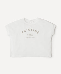 フライスドルマンTシャツ