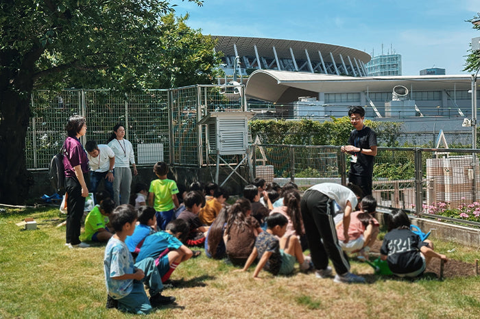 四谷第六小学校でオーガニックコットンの種まきをしました
