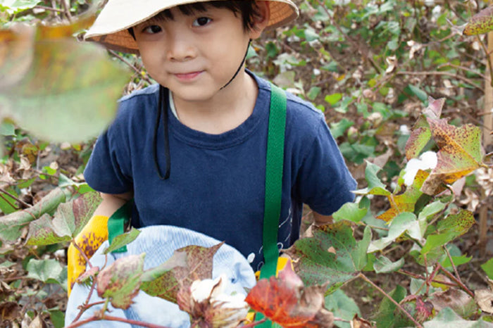 【満員となりました】アバンティコットン倶楽部 第3回 国産綿収穫祭を栃木県佐野市川田ファームにて開催！