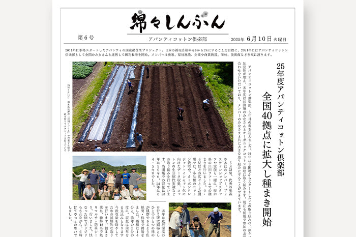 「綿々しんぶん」第６号を発刊しました！｜アバンティコットン倶楽部