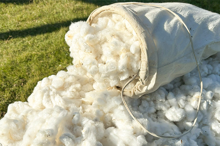 アバンティコットン倶楽部2026年度新規参加者向け説明会を開催します