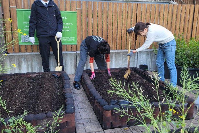 銀座の空の下で。松屋銀座屋上コットン栽培、今年も始動しました