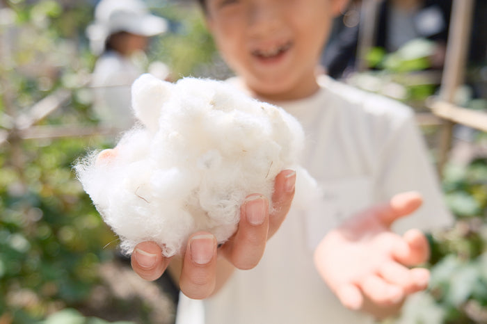 【開催レポート】松屋銀座で親子イベント！コットンの収穫＆ものづくり体験｜アバンティコットン倶楽部