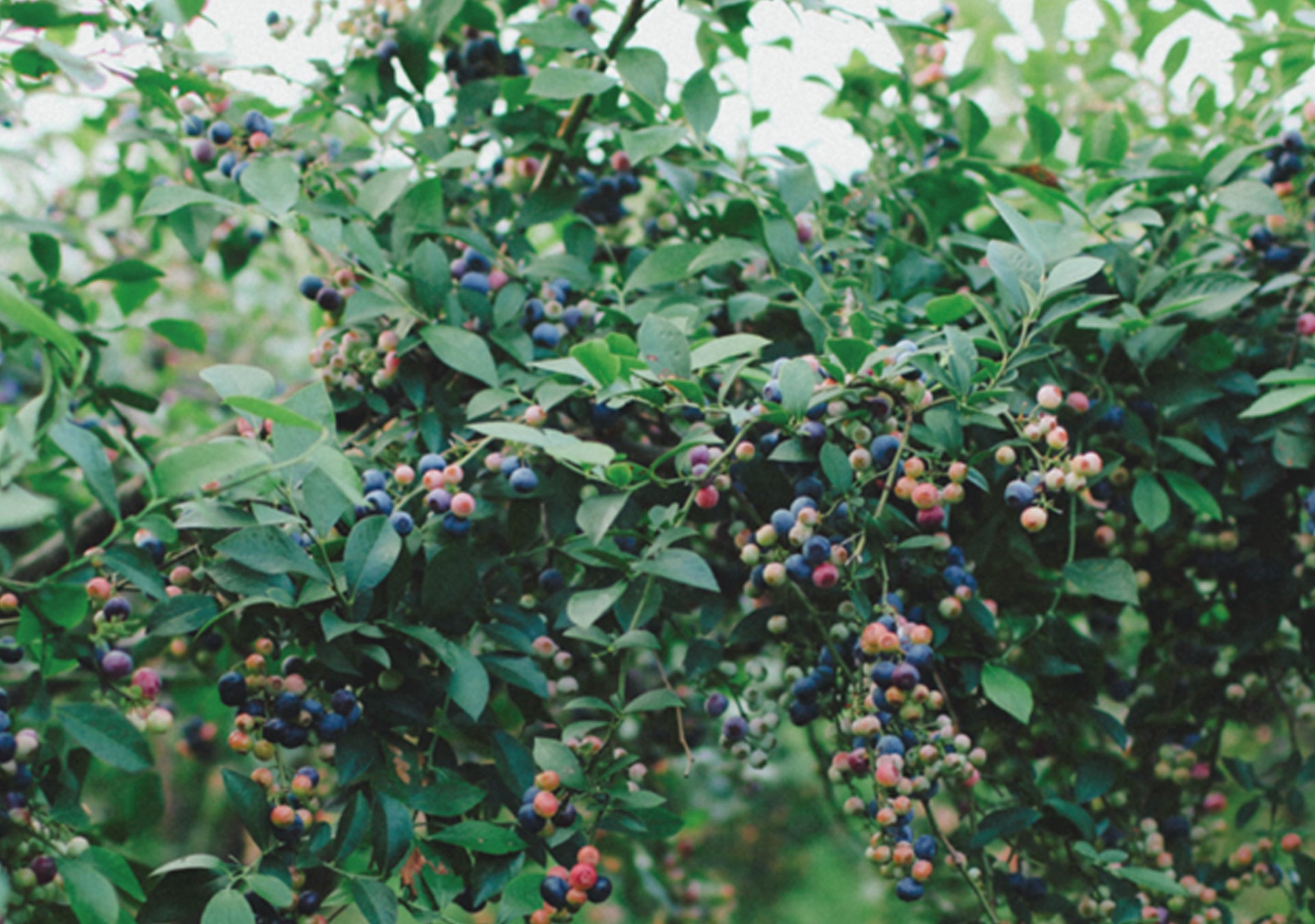 季節のジャム＆焼き菓子セット 