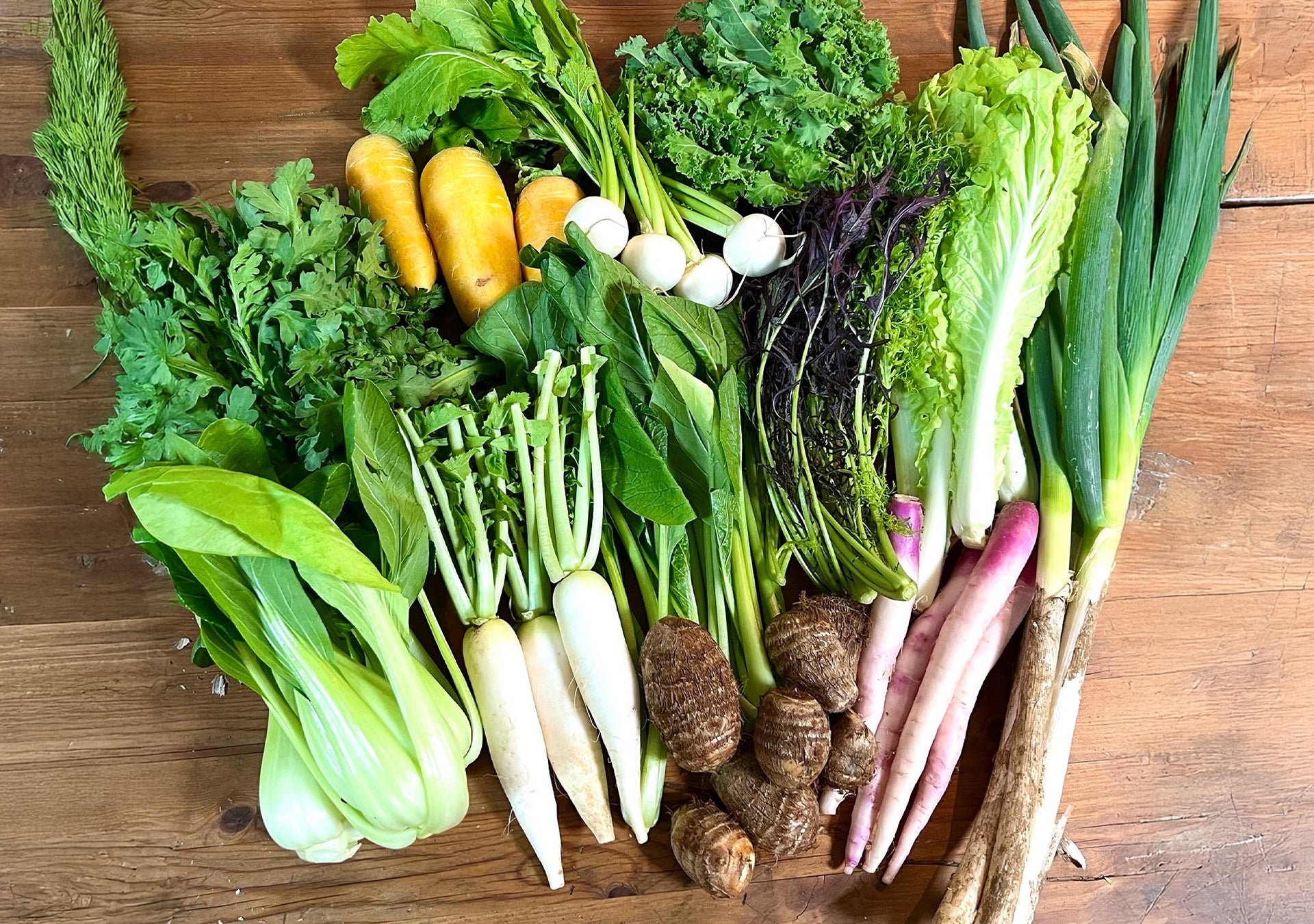 あったか正月セット