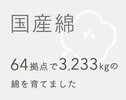 国産綿 64拠点で3,333kgの綿を育てました