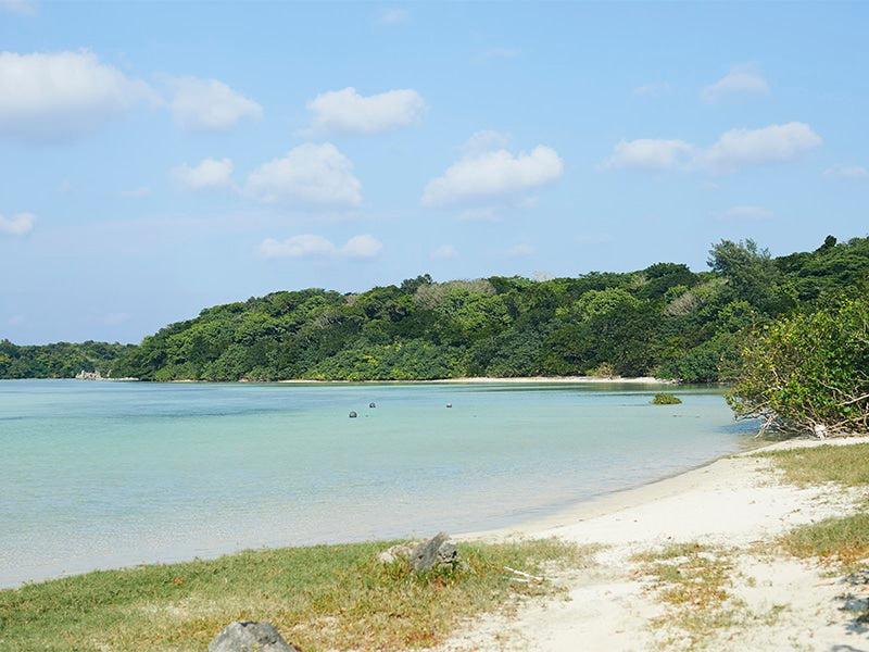 日々の暮らしにおける排水は、川そして海へ