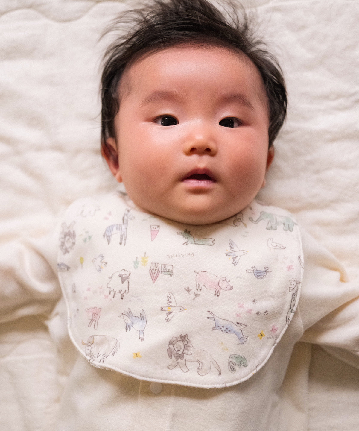 身長60cm