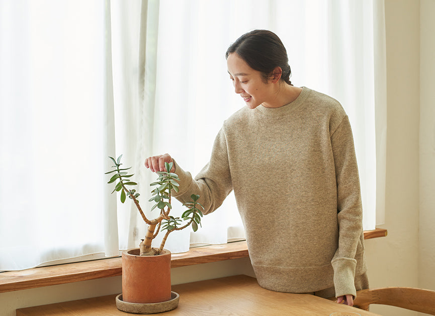 上質なベーシック、ヤク裏毛シリーズがブラッシュアップ