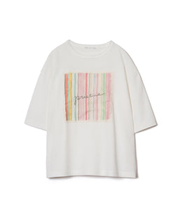 オーガニックコットン 「 Sun Stripe Ｔシャツ 」｜PRISTINE