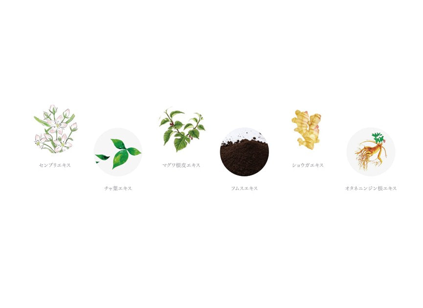 植物エキスが含まれています