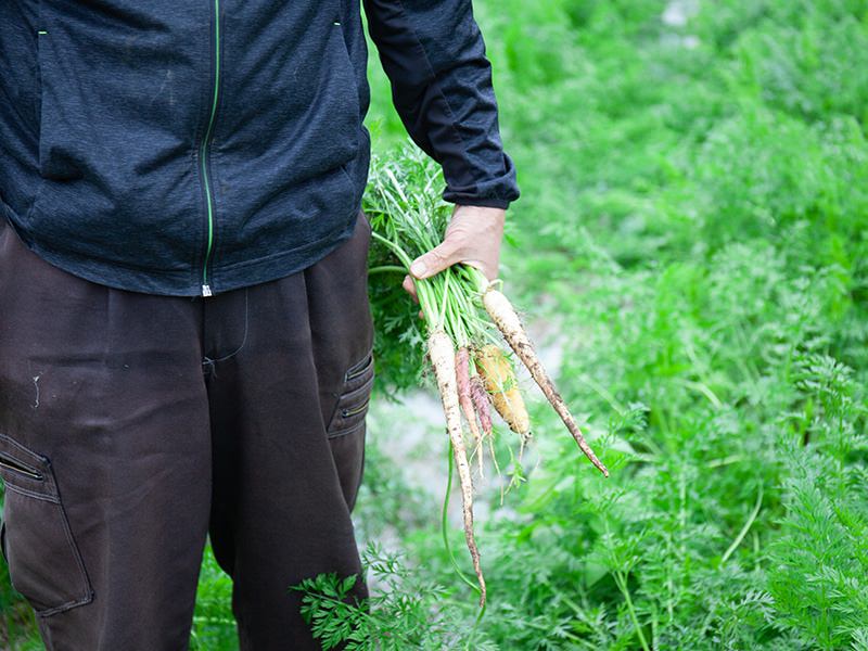 風の丘ファーム