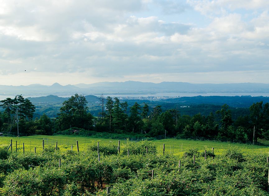 プリスティンの考える「“衣”食同源」