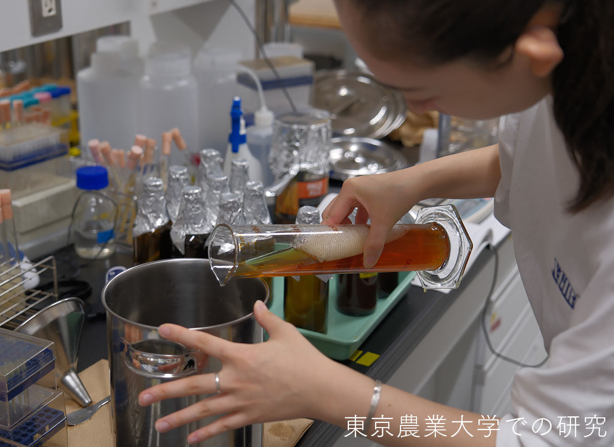わたの花酵母で醸すクラフトビールが誕生！