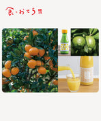 無茶々園さんセット [食のおせち]